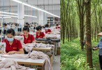 Một số doanh nghiệp dệt may, cao su bứt tốc nửa đầu 2025 Một số doanh nghiệp dệt may, cao su bứt tốc nửa đầu 2025