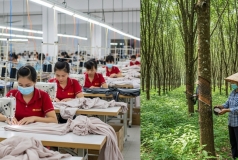 Một số doanh nghiệp dệt may, cao su bứt tốc nửa đầu 2025